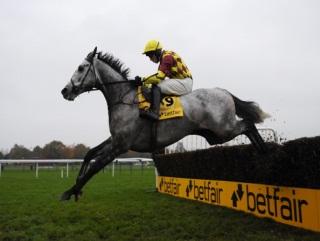 Dynaste is fancied to land the Cotswolds Chase